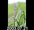 2003.07.21