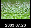 2003.07.23