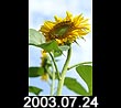 2003.07.24