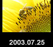 2003.07.25