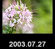 2003.07.27