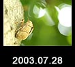 2003.07.28