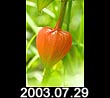 2003.07.29