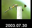 2003.07.30