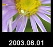 2003.08.01