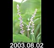 2003.08.02