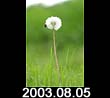 2003.08.05