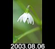 2003.08.06
