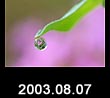 2003.08.07