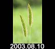 2003.08.10