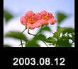 2003.08.12