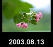 2003.08.13