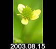 2003.08.15
