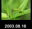 2003.08.16