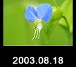 2003.08.18