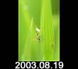 2003.08.19