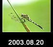 2003.08.20