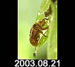 2003.08.21