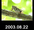 2003.08.22