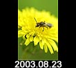 2003.08.23