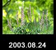 2003.08.24