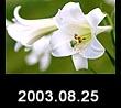 2003.08.25