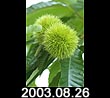 2003.08.26