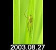 2003.08.27