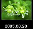 2003.08.28