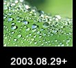 2003.08.29