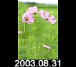 2003.08.31