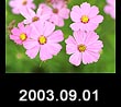 2003.09.01