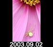2003.09.02