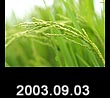 2003.09.03