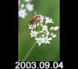 2003.09.04