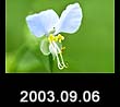 2003.09.06