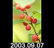 2003.09.07