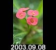 2003.09.08