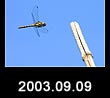2003.09.09