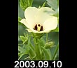 2003.09.10