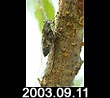 2003.09.11