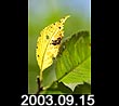 2003.09.15