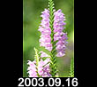 2003.09.16