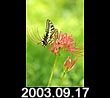 2003.09.17