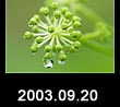 2003.09.20