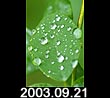 2003.09.21