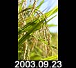 2003.09.23