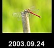 2003.09.24