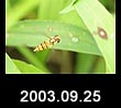2003.09.25