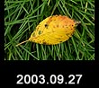 2003.09.27